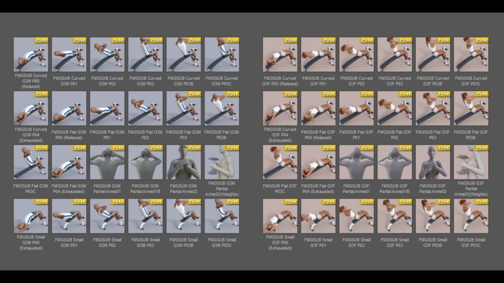 FM Gym: Sit-Up Benches & Poses