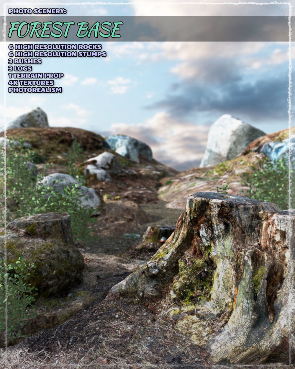 Photo Scenery: Forest Base