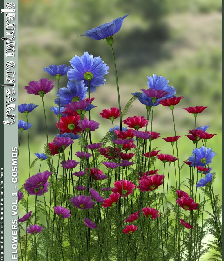 Traveler’s Naturals – Flowers Vol 1 – Cosmos