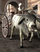 Noggin's Brahman Cow and Bull
