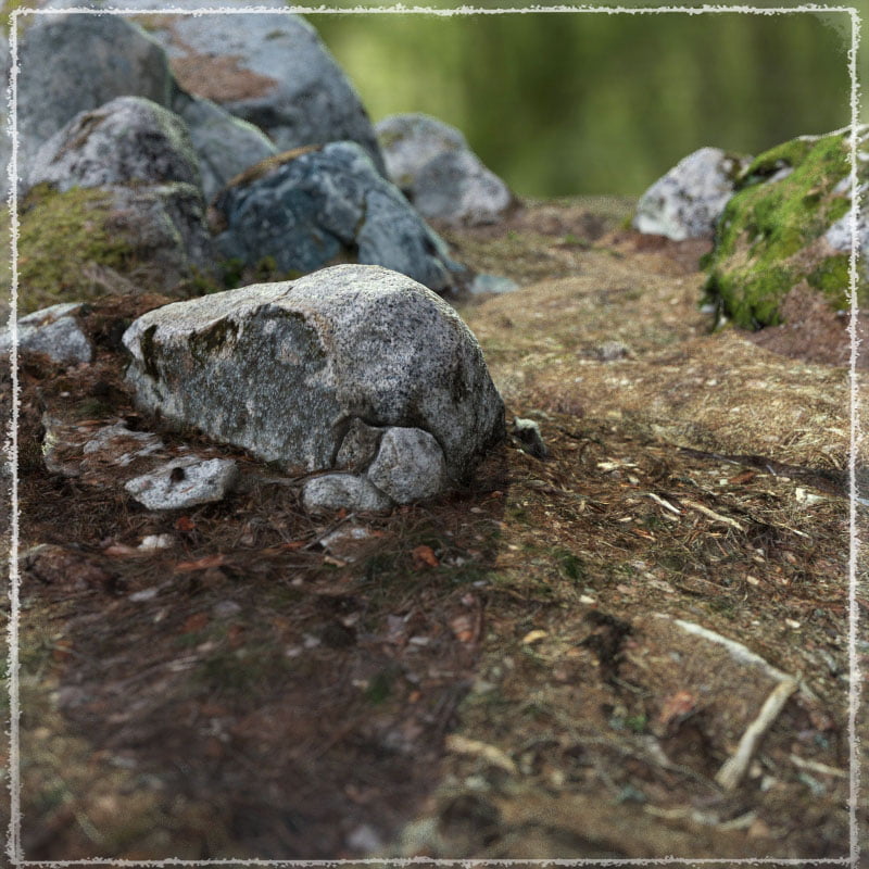 Photo Scenery: Forest Base