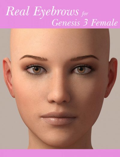 00-main-real-eyebrows-for-genesis-3-female-daz3d-1-1