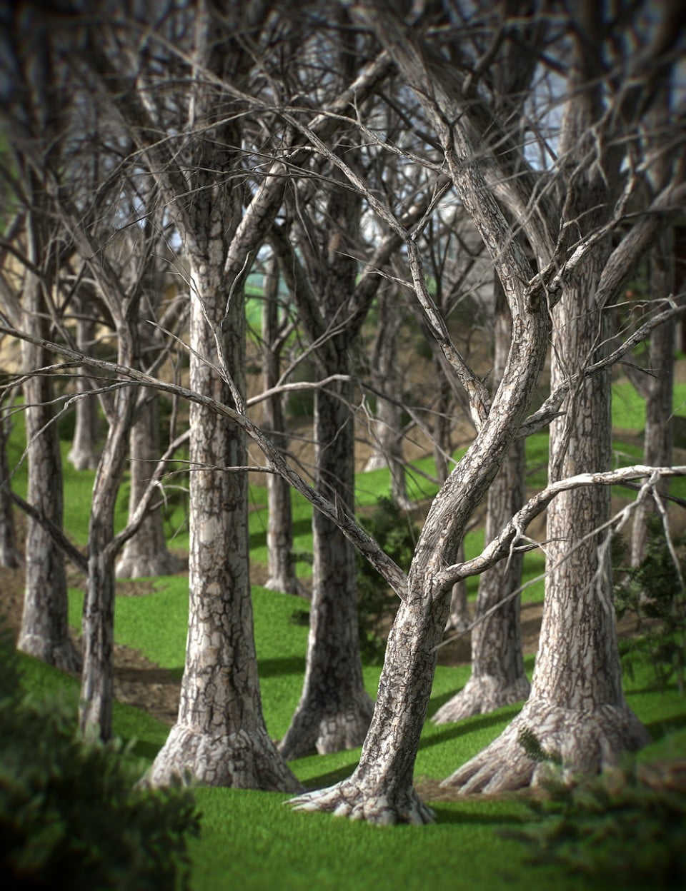 Shades of Life - Bark Booster