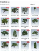 SpeedTree Cinema 3D Tree and Plant Library