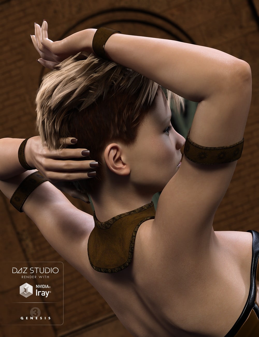 Fantasy Collar Set for Genesis 3 Female(s)