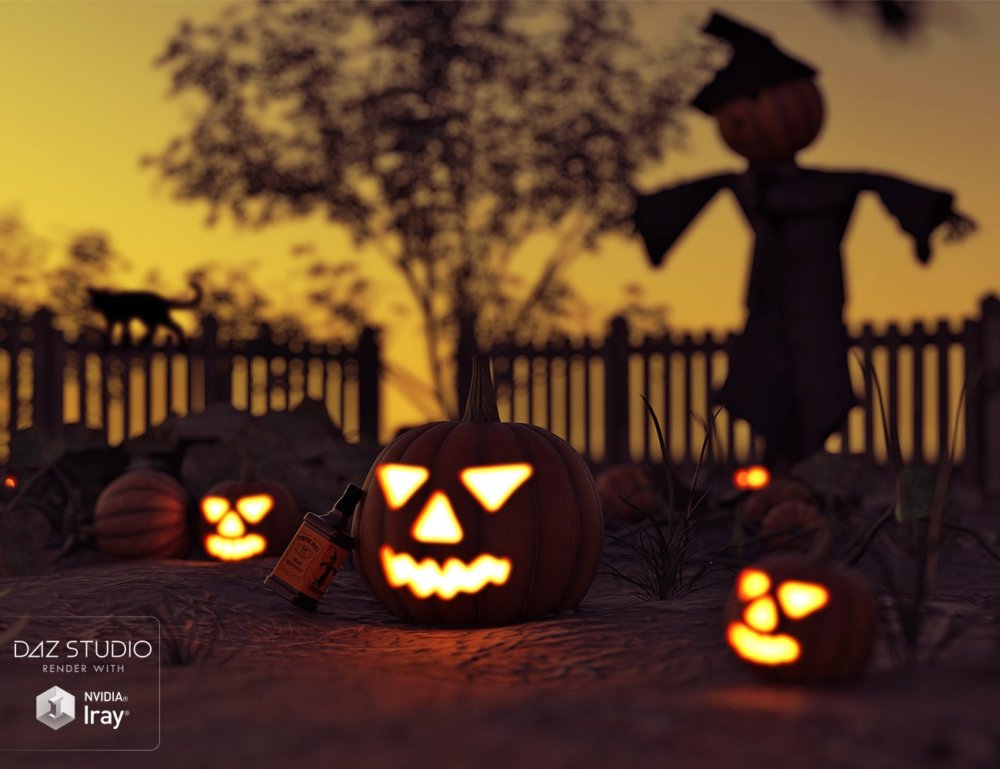 Pumpkin Jack's Pumpkin Patch