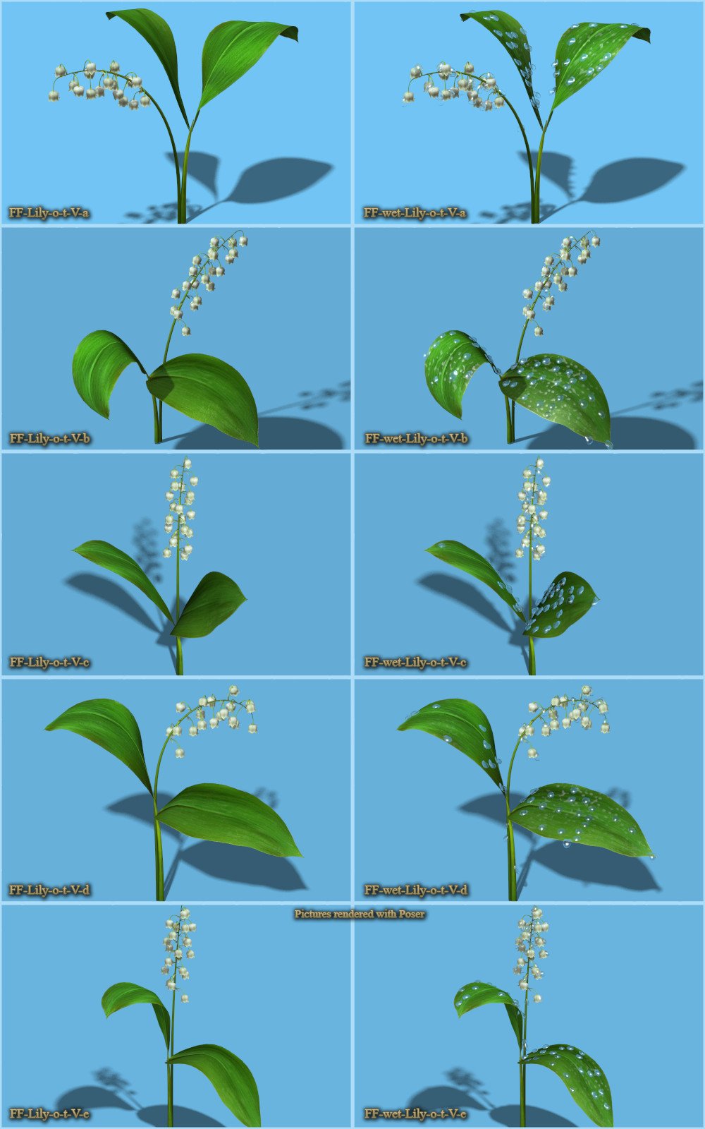 Flinks Flowers - Lily of the valley