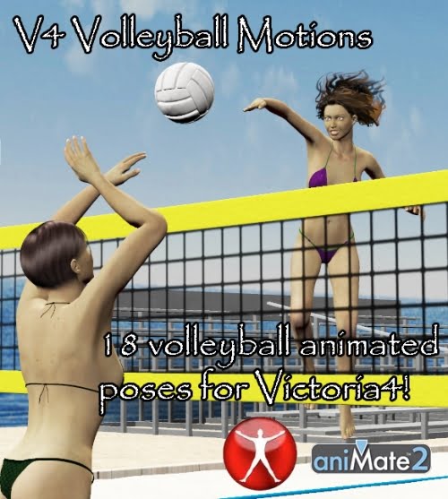 V4 Volleyball Motions