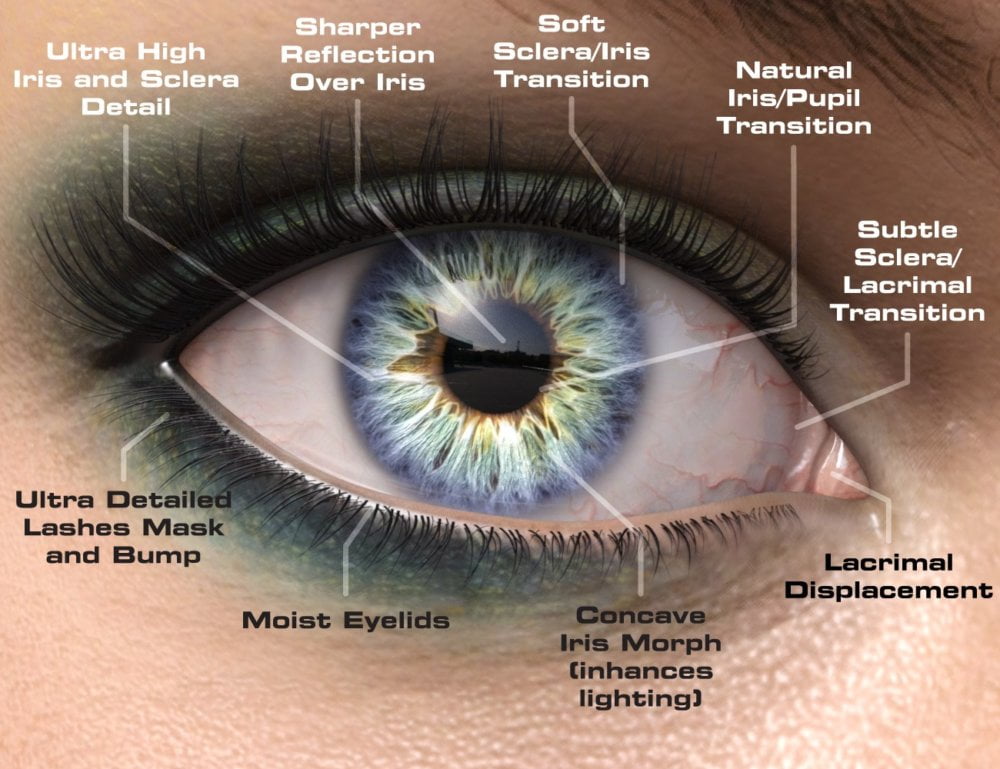 Macro Eyes for Iray Browns and Exotics
