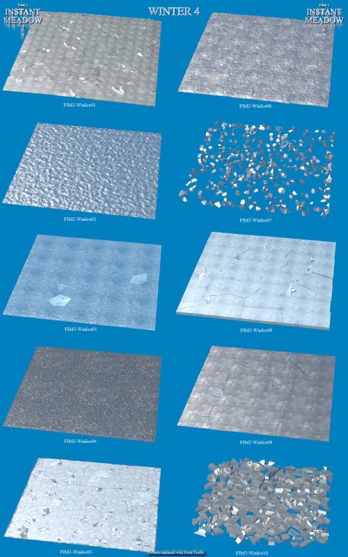 Flinks Instant Meadow 2 - Winter 4