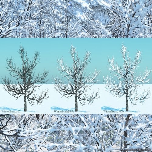 Flinks Winter Bushes 2