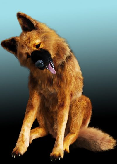 00-main-german-shepherd-for-wolf-20-daz3d_1-1