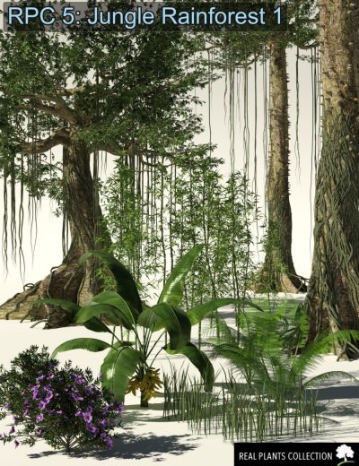00-main-rpc-volume-5-jungle-rainforest-1-for-daz-studio-and-vue-daz3d-scaled-1
