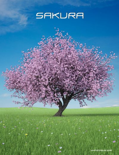 00-main-sakura-extreme-detail-daz3d-1