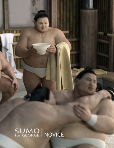 0026235140661_0_sumo-novice-for-sumo-charac-1
