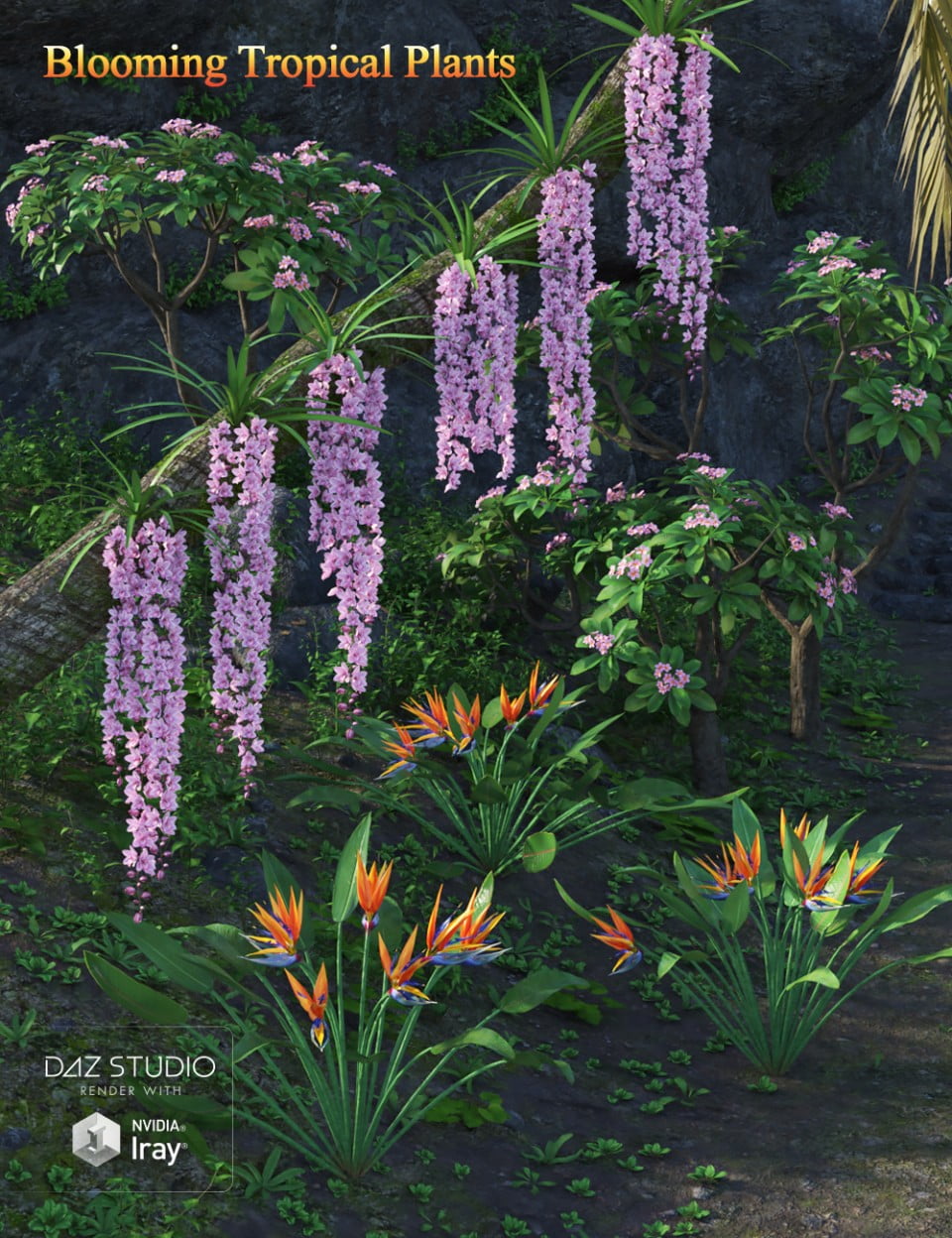 Blooming Tropical Plants