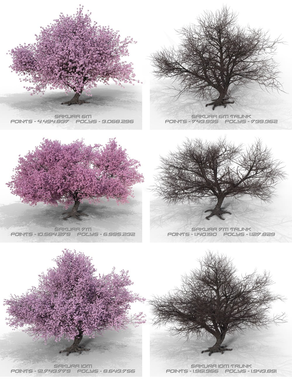 Sakura Extreme Detail