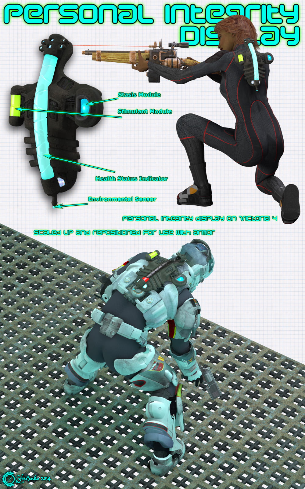 Personal Integrity Display