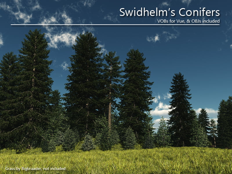 Swidhelm's Conifers