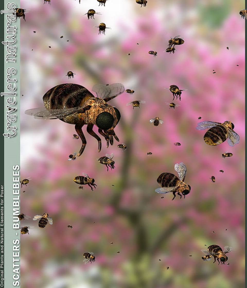 Scatters Vol 5 - BumbleBees