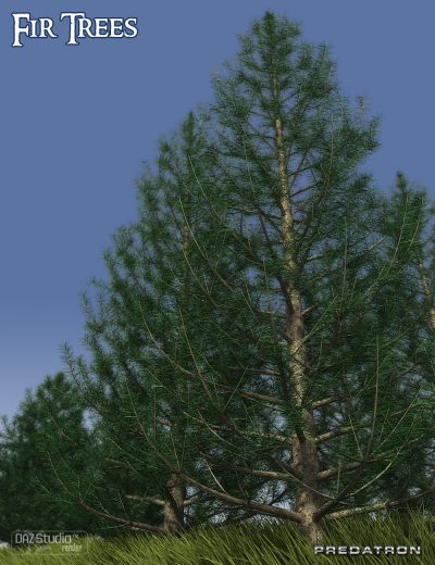00-main-predatron-fir-trees-daz3d-1