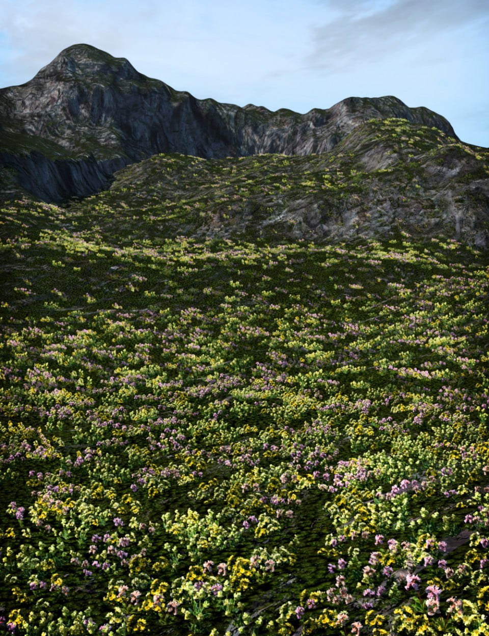 Scattered Plants Spring Flowers