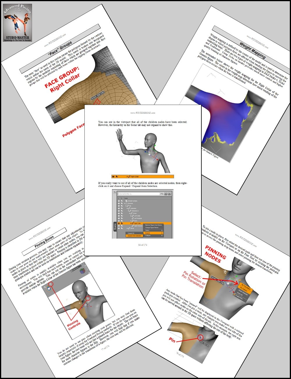 STUDIO*MASTER: Advanced Posing in DAZ Studio 4.7