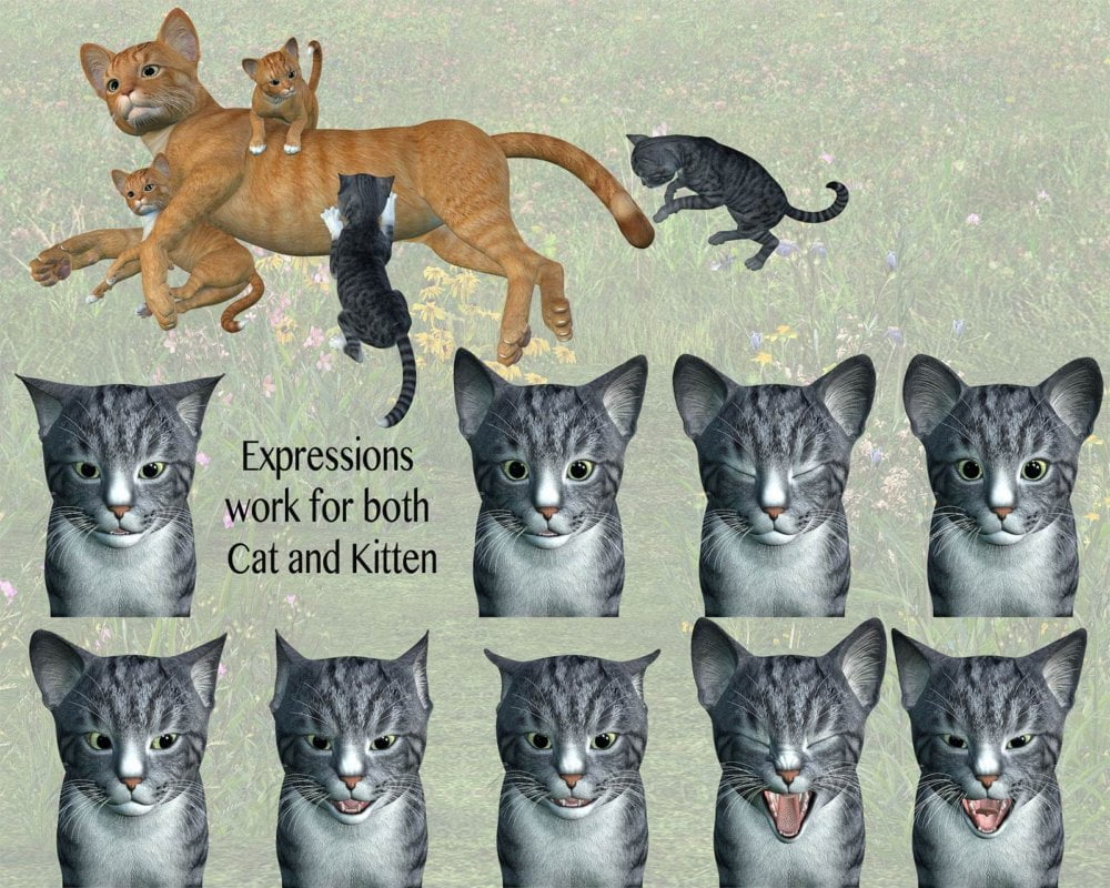 HomeLife For the HW House Cat and Kitten