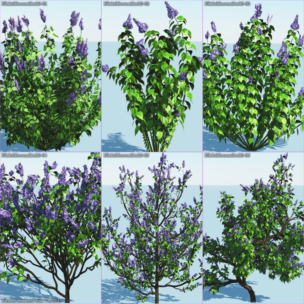 Flinks Blossom Bushes 3