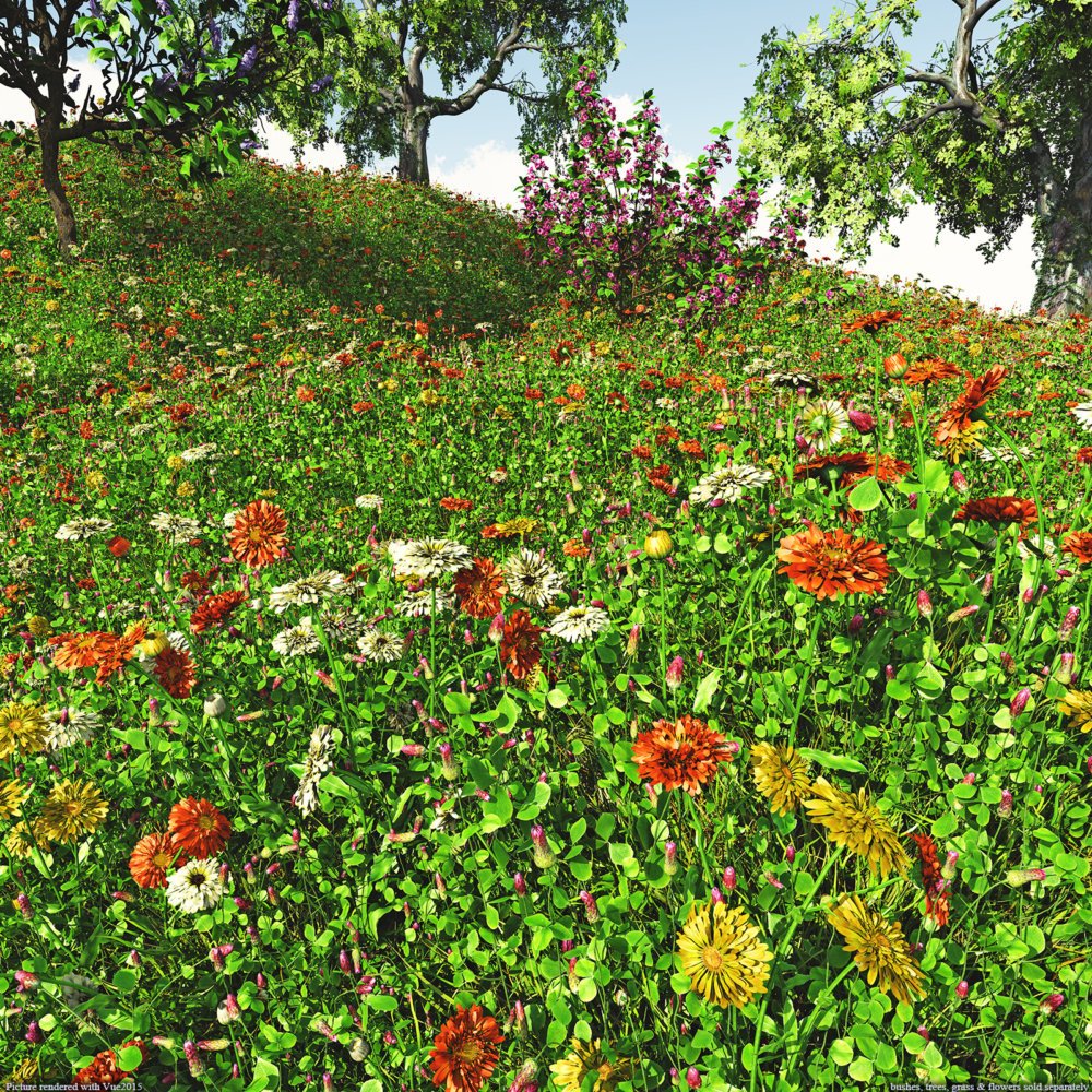 Flinks Flowers - Flower 2 - Gerbera