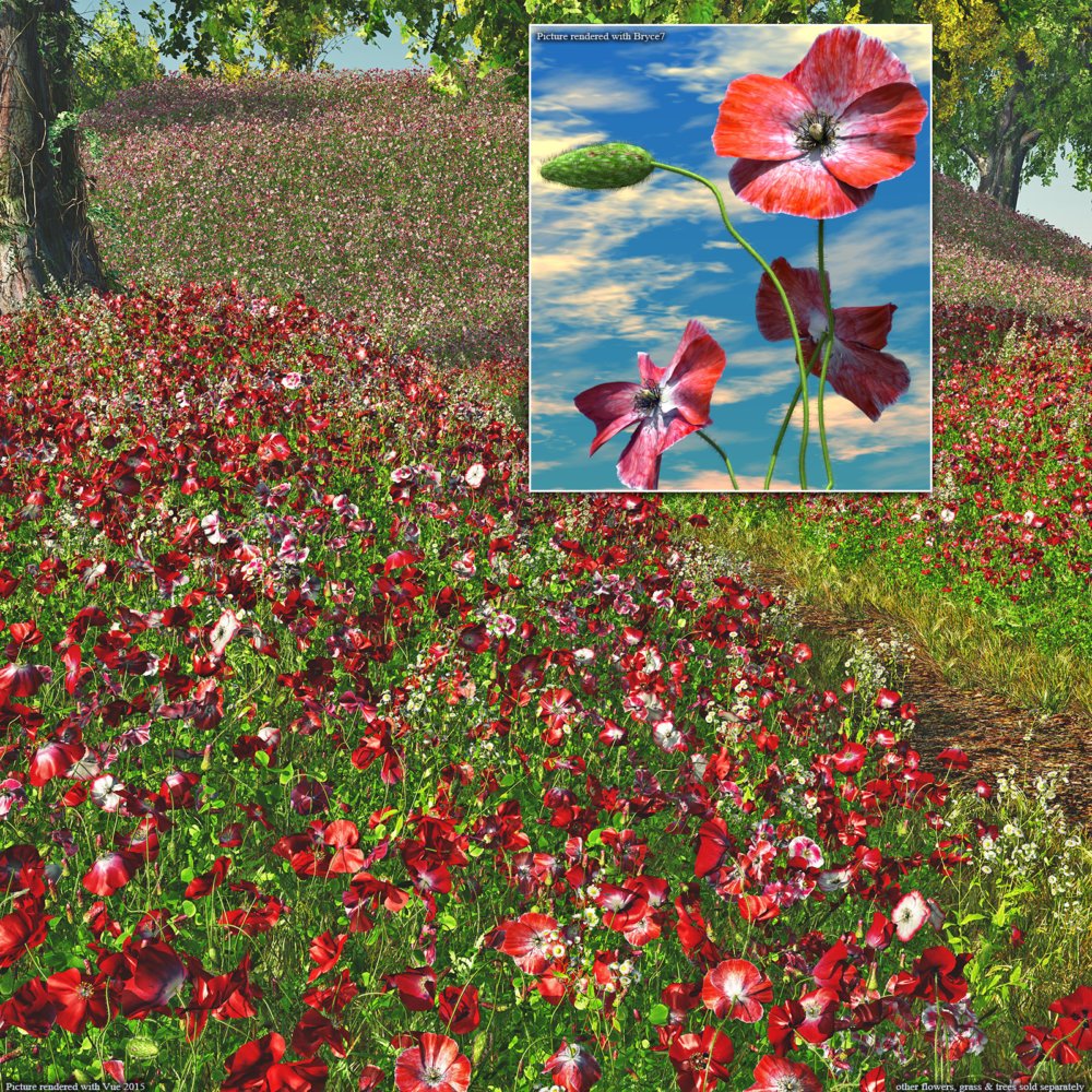 Flinks Flowers - Flower 4 - Poppy