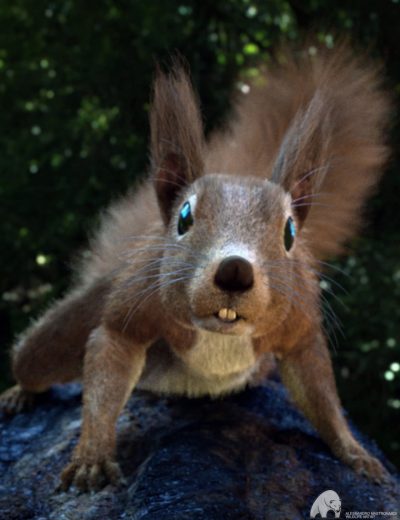 00-main-rodents-by-am-squirrels-of-eastern-hemisphere-daz3d-1