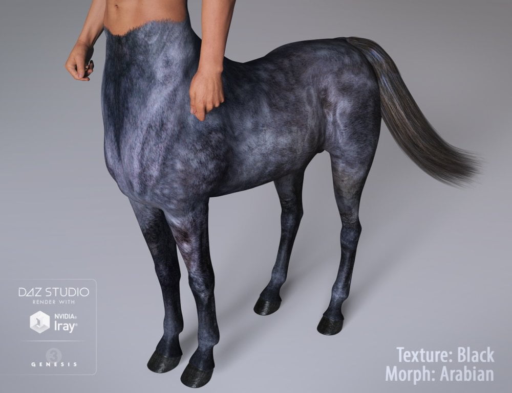 Centaur 7 Male Hides and Breeds