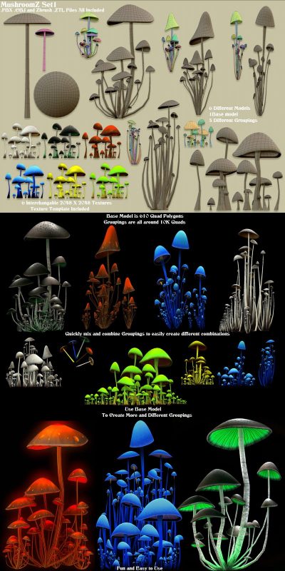 Full119934_3309b1ca493c3c58a2ff23651a818b73-1