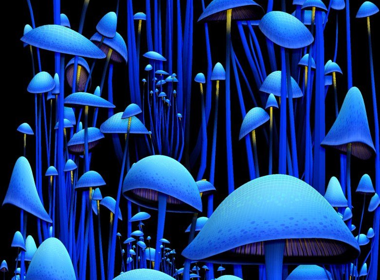 MushroomZ Set1 - Extended License