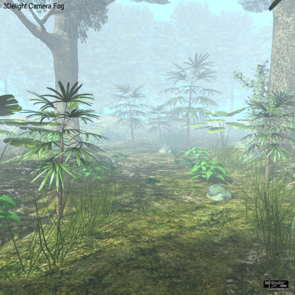 The Fantastic Forest