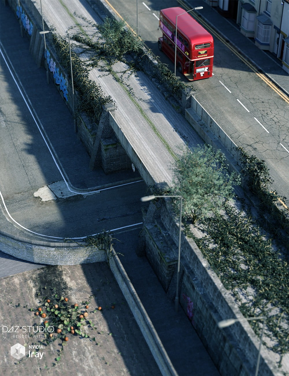 The Unused Railway Bridge