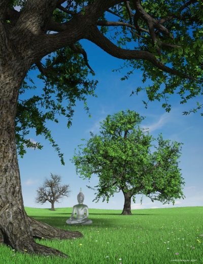 00-main-hybrid-trees-daz3d-1