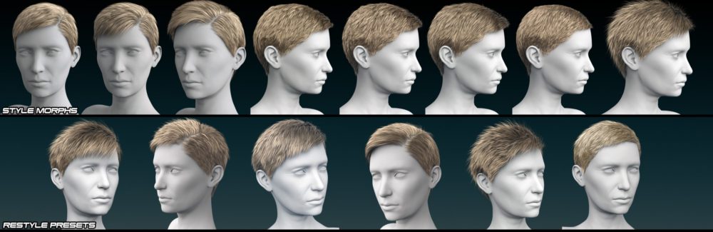 Agent Hair for Genesis 3 Female(s) and Male(s)