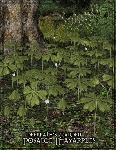 Deerpaths-Garden-Posable-Mayapples-DEER-027-1