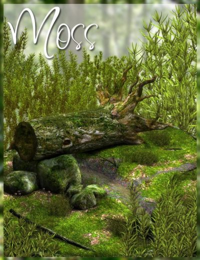 01541-moss-main-1