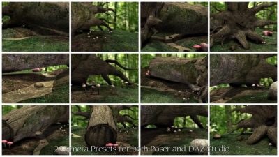 10342-fallen-tree-04-1