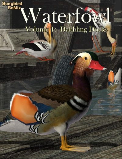 10462-sbrm-waterfowl-vol-1-dabbling-ducks-main-1