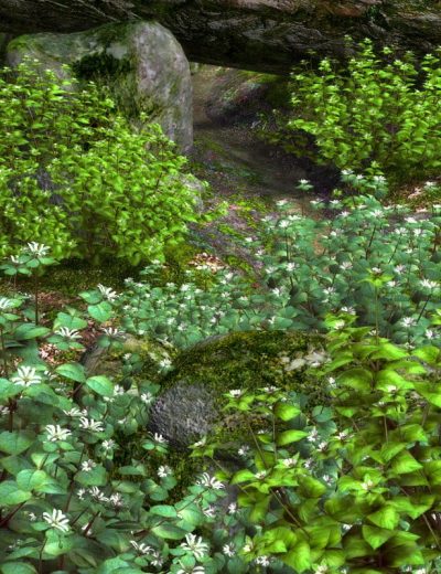 10568-starweed-main-1