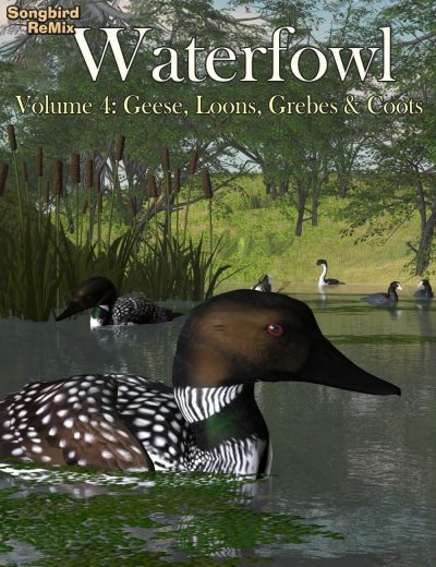 10606-sbrm-waterfowl-vol-4-geese-loons-grebes-coots-main-1