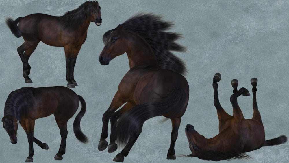 Paddock Poses for the HiveWire Horse