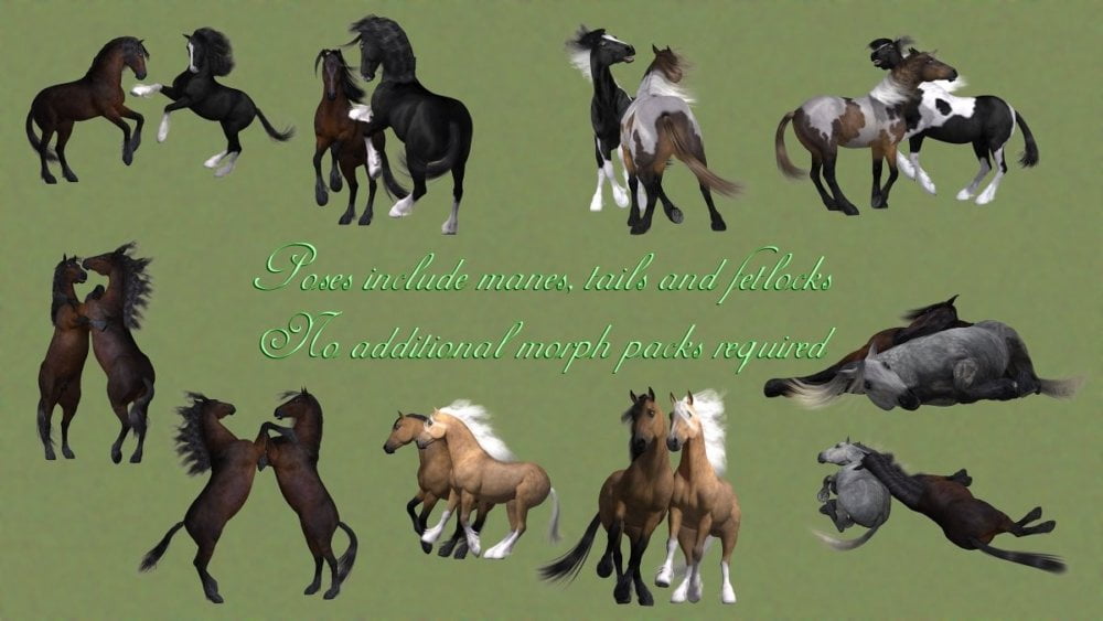 Friends and Family - Horse Friends