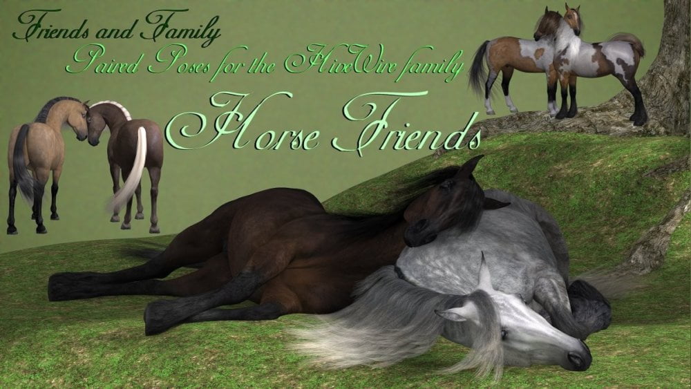 Friends and Family - Horse Friends