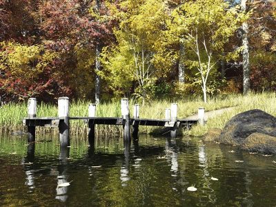 Autumn_Pond_by_HowieFarkes_Vue_105_0_img