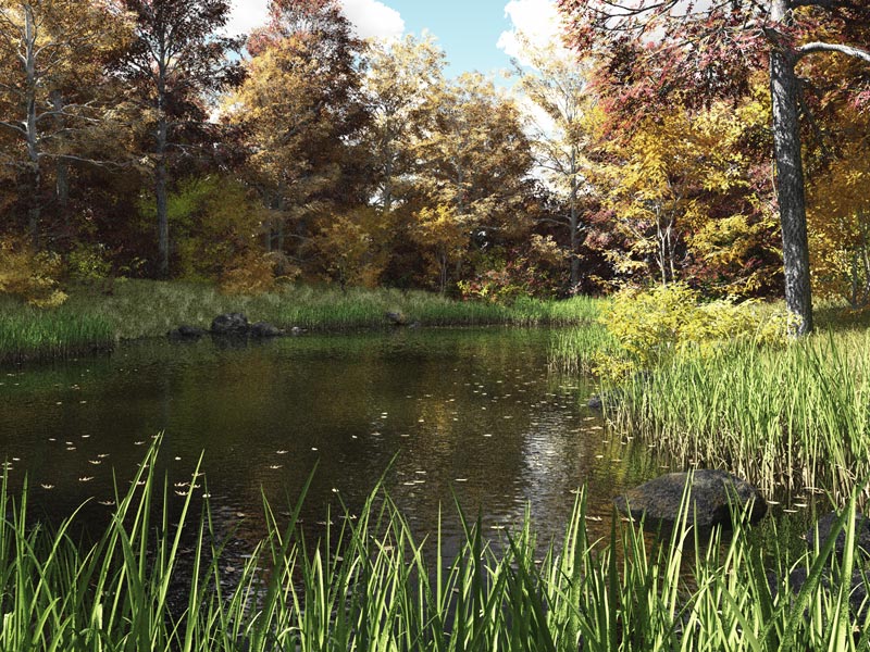 Autumn Pond by HowieFarkes